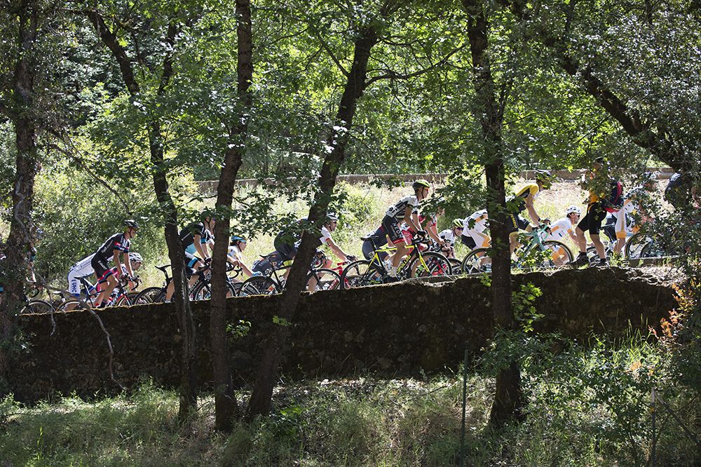 A bit of shade to watch the race from
