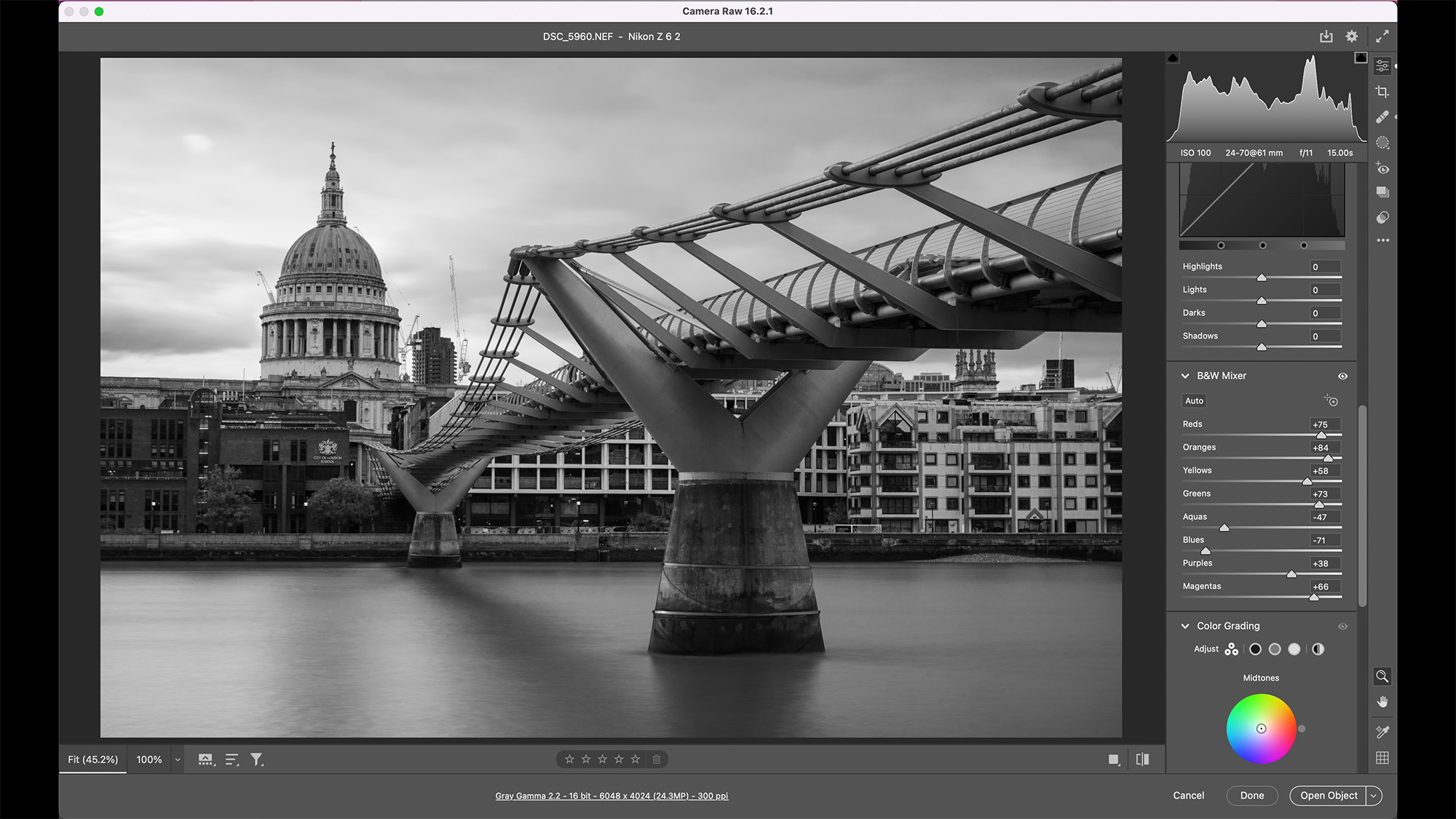 Camera Raw screenshot of London's Millennium Bridge with St Paul's Cathedral in the background