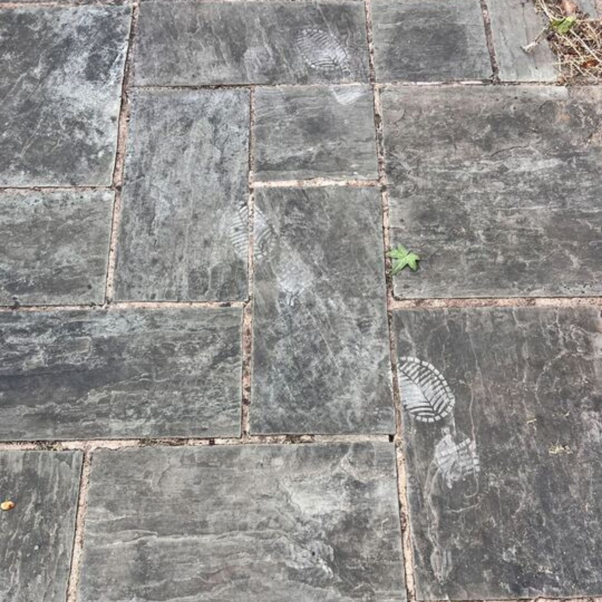 An old patio stained with black spots and with crumbling grout in need of replacing.