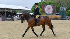 2023 royal windsor horse show