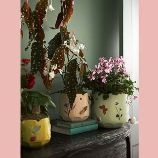 Anthropologie floral planters