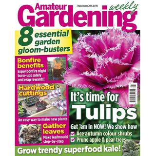 For your father: Amateur Gardening, from £10.99