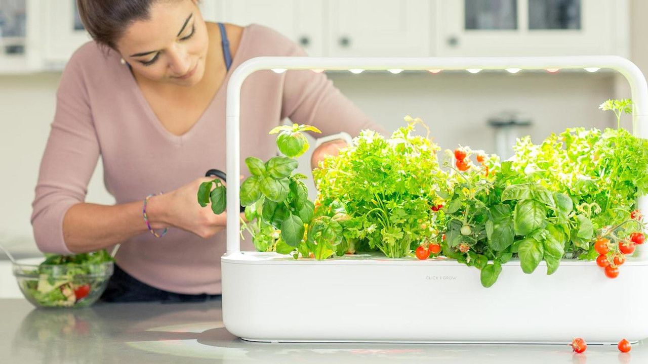 Click And Grow Smart Garden 9