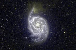 A GALEX ultraviolet image of the Whirlpool galaxy Messier 51. The appearance of galaxies in the ultraviolet differs from what we see in visible light.