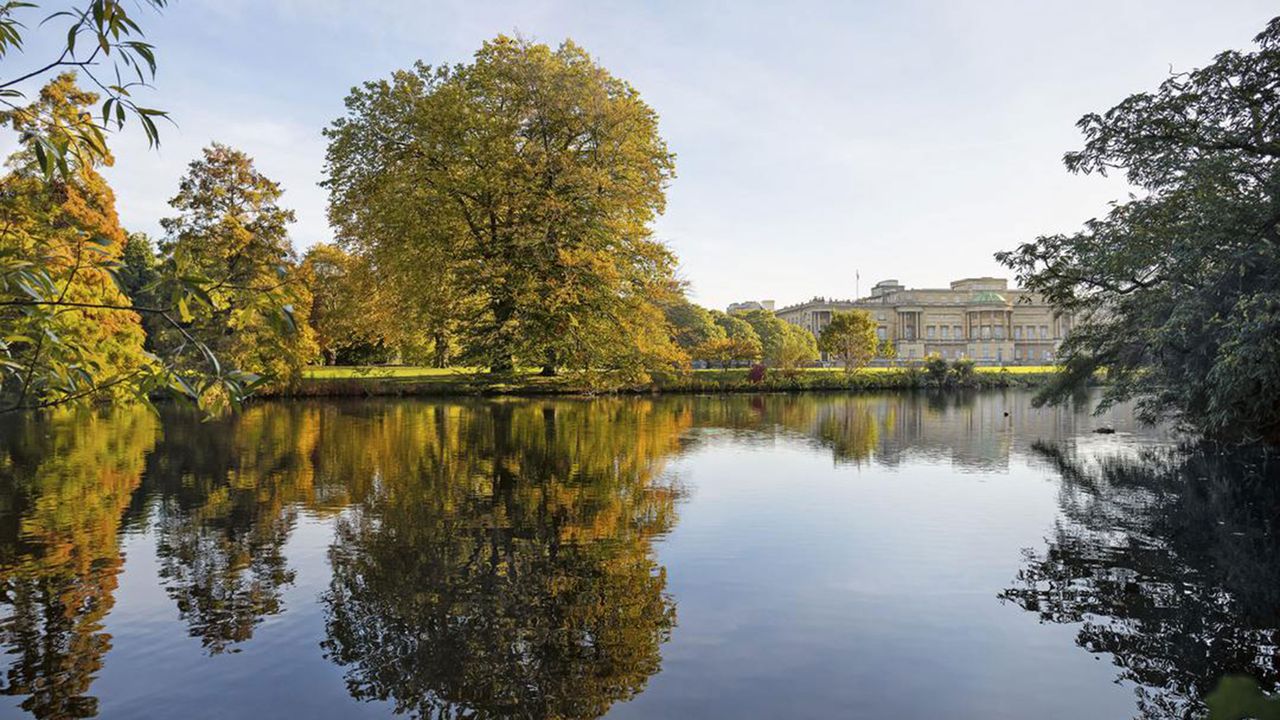 view of Buckingham Palace from the lake in the gardens