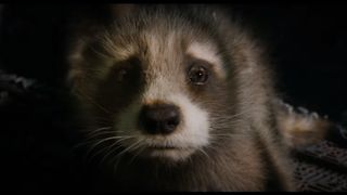 A cowering baby Rocket stares directly into the camera in Marvel's Guardians of the Galaxy Volume 3