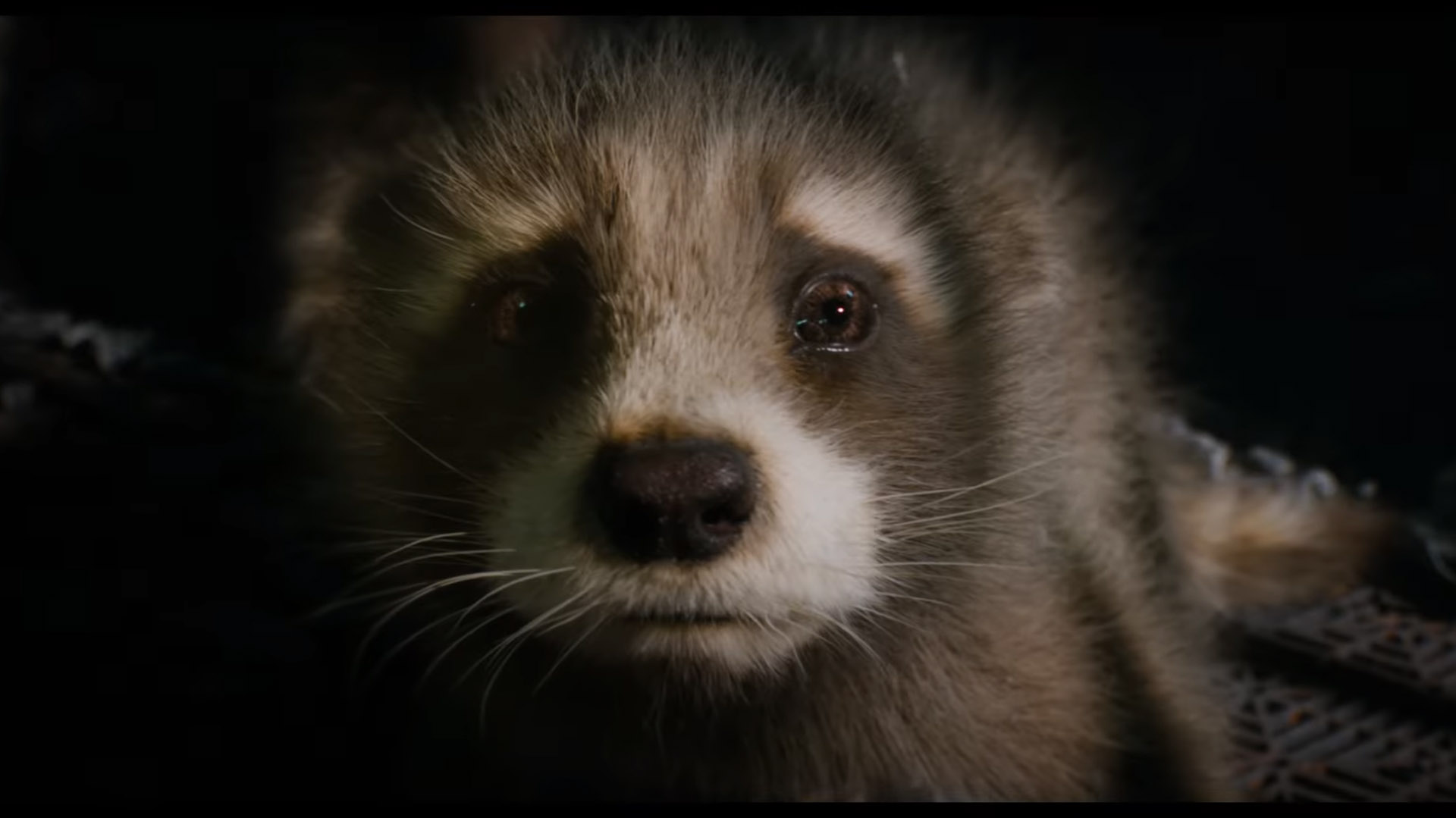 Guardians Of The Galaxy 3 Release Date Cast And More TechRadar