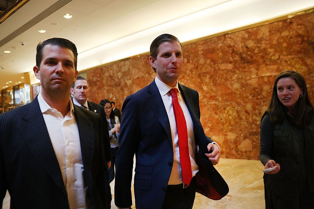 Donald Trump&amp;#039;s sons