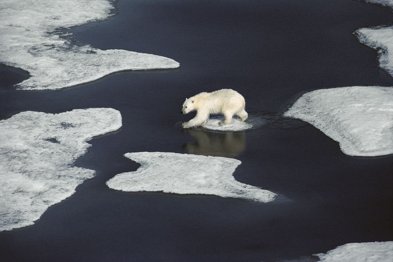 Only time will tell if the recent climate summit agreements will foster change.