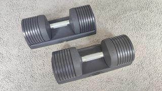 a pair of JaxJox DumbbellConnect adjustable dumbbells sitting on a beige carpet