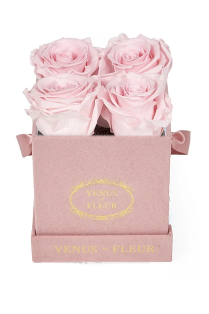 Venus ET Fleur Think Pink Collection 