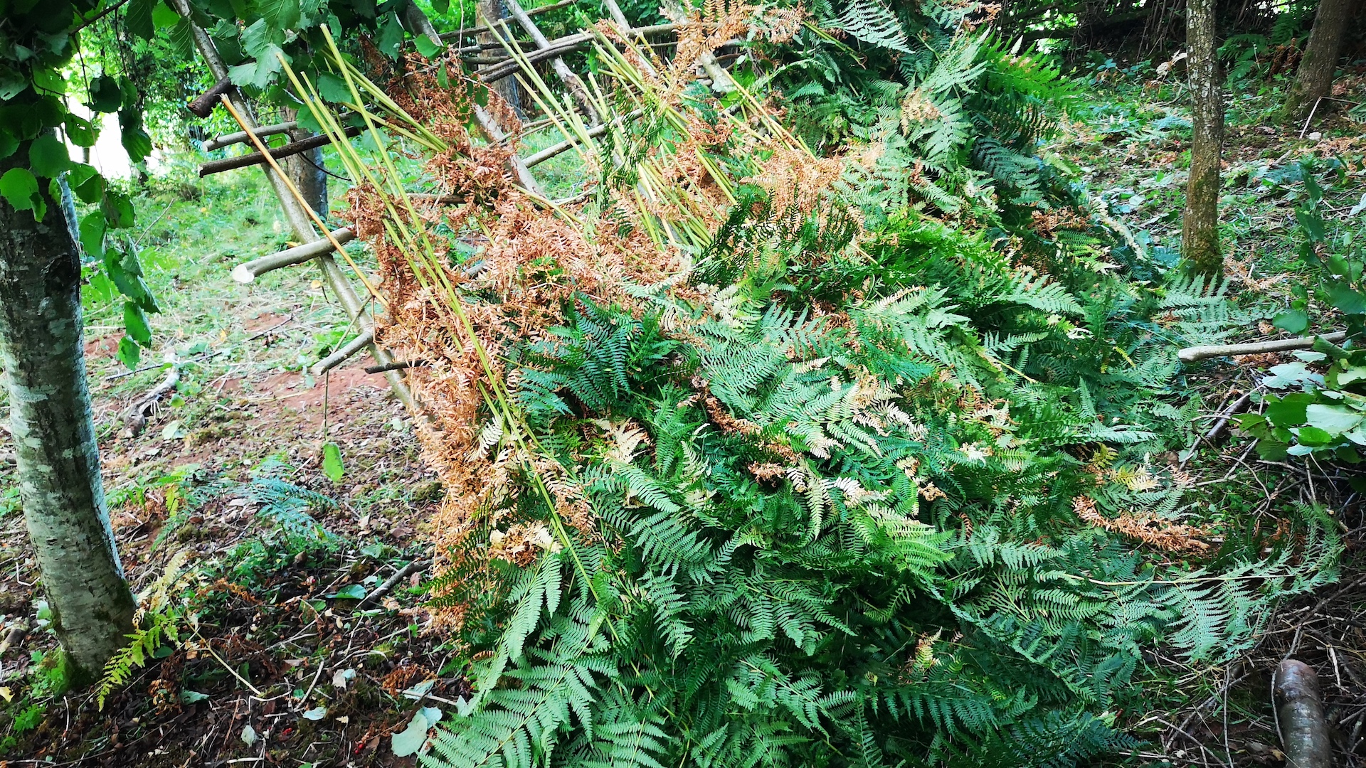 How to build a natural shelter