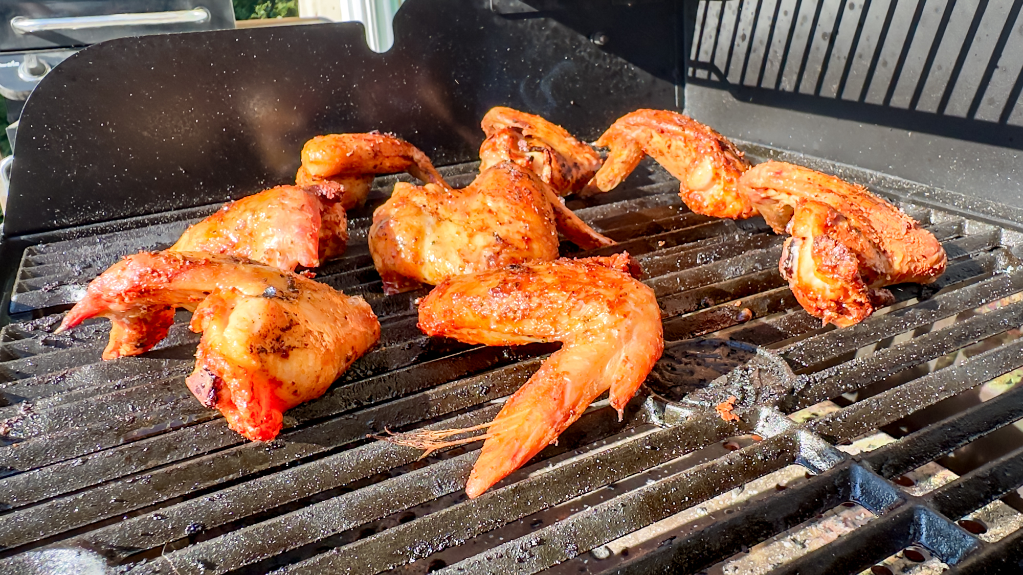 Rectec X-Fire Pro 825 grill and food