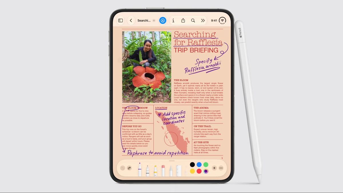 Apple iPhone Duo