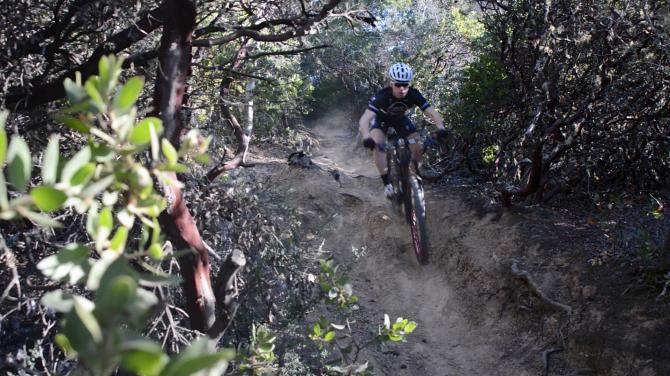A Whole Athlete-Specialized in action