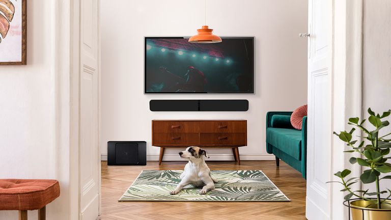 How to mount a soundbar on a wall Dog in a living room with soundbar and TV