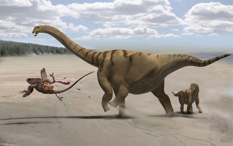 How Do Dinosaurs Get Their Names Live Science
