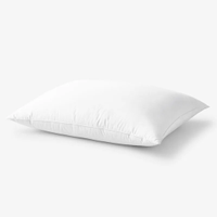 Down Pillow, The Company Store