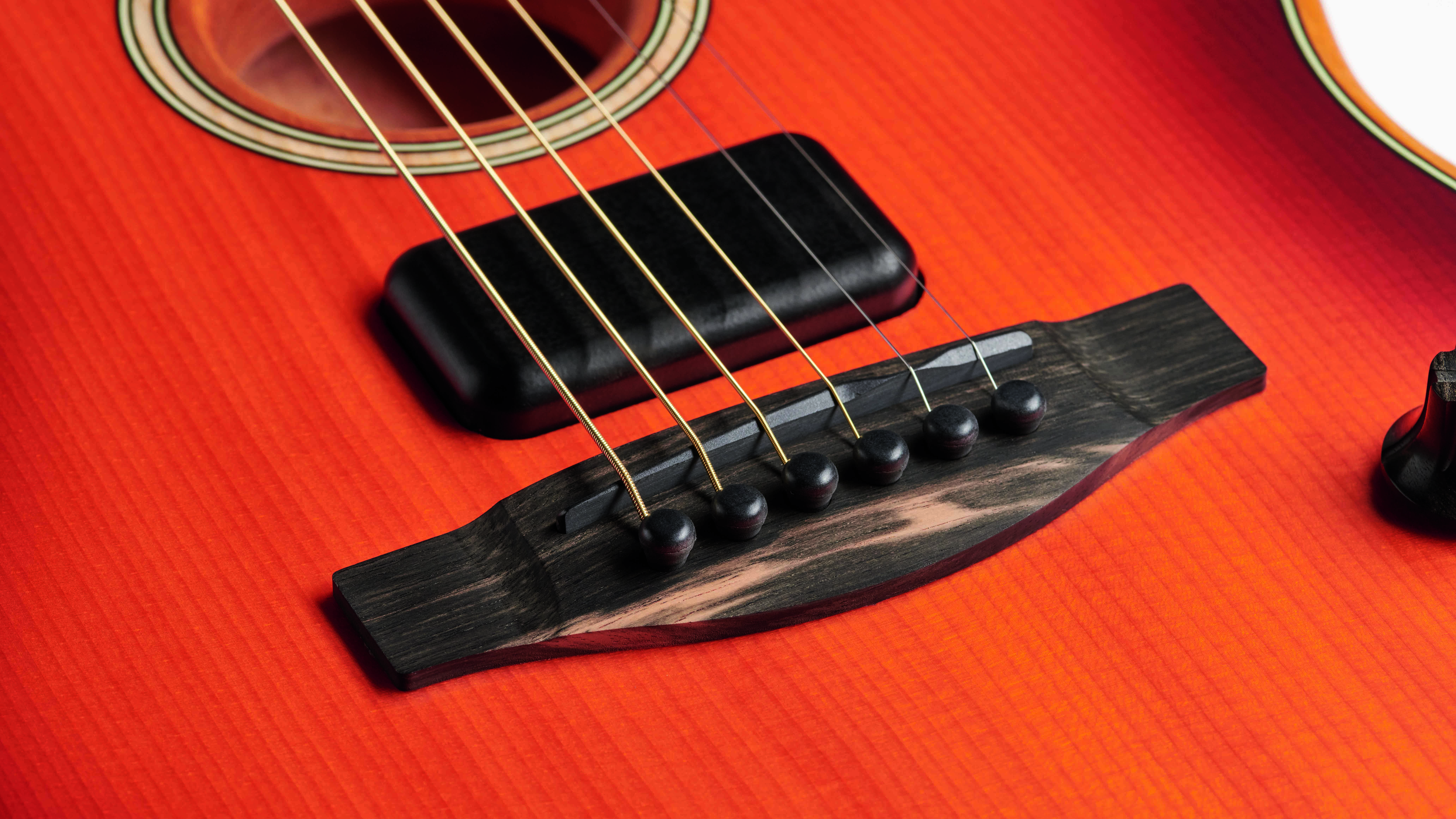 Fender