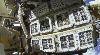 Astronauts installing the Expose-R2 facility on the International Space Station. As part of ESA’s Expose-R2 project, 46 species of bacteria, fungi and arthropods are inside those containers as they spend 18 months bolted to the outside of the International Space Station.
