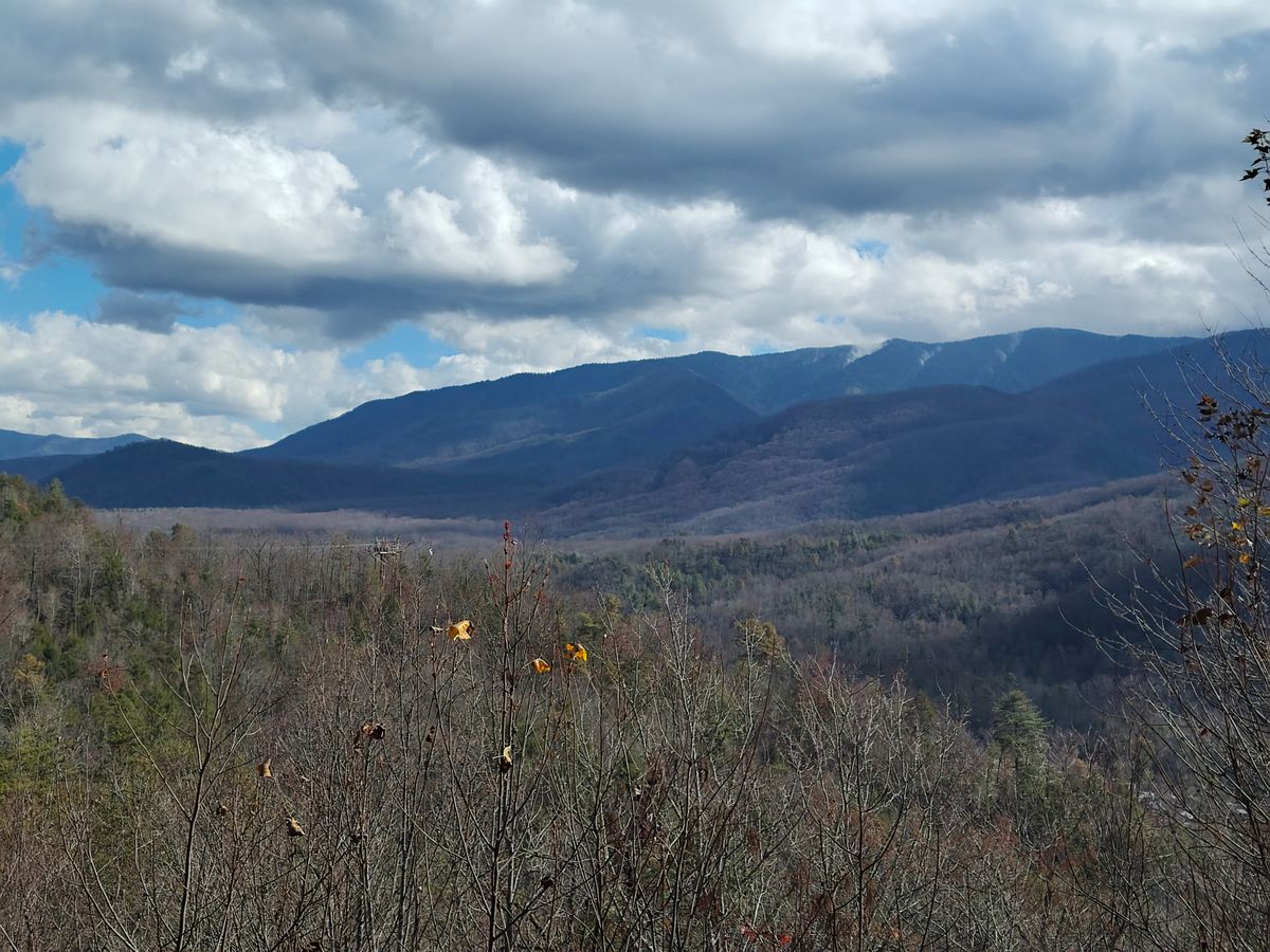 A camera sample taken from the Fairphone 6's main camera