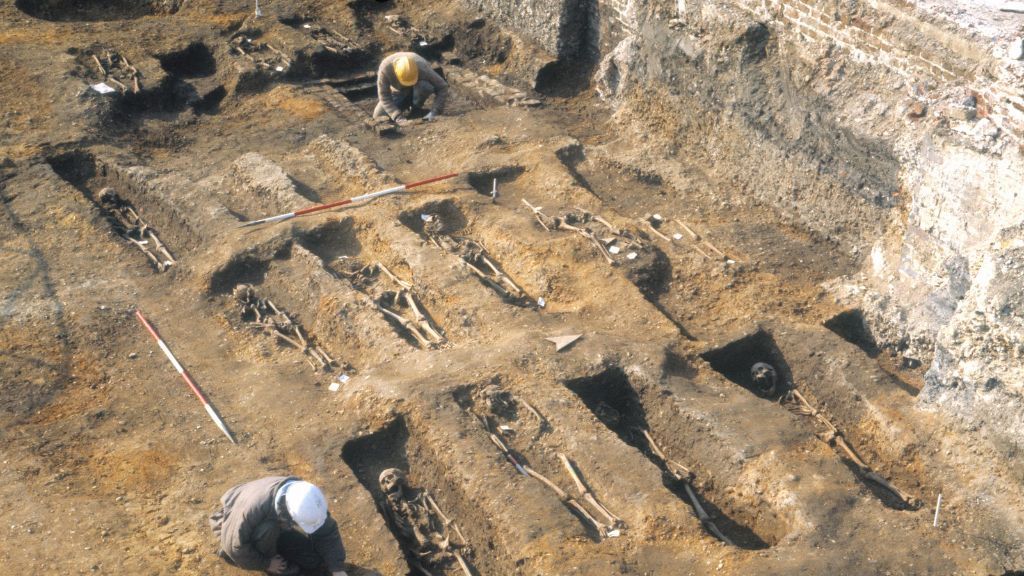 The Black Death pushed certain protective genetic variants to become more common in survivors' descendants, DNA from the Middle Ages reveals. Survivor