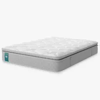 Sealy mattresses: