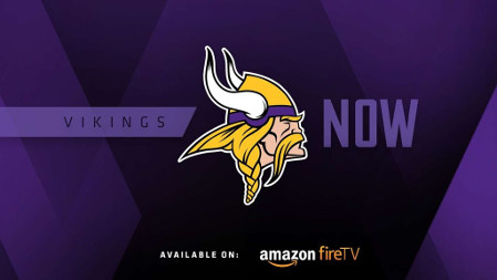 Minnesota Vikings Micro Flames Graphics