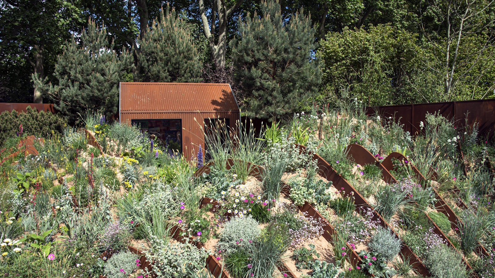 Drought-tolerant planting on a slope 