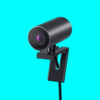 The best webcams on colourful backgrounds.