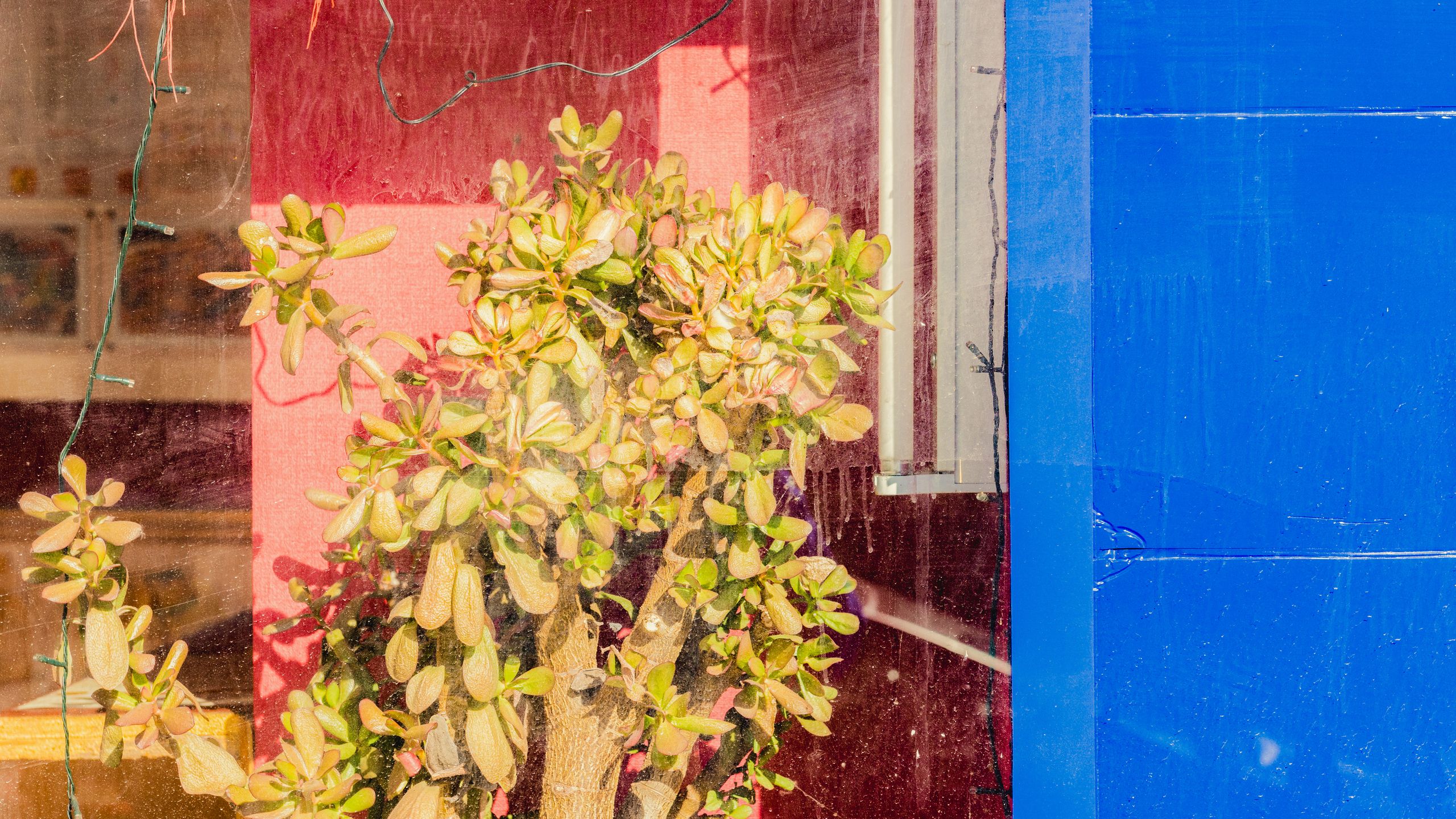 I photographed my own neighborhood as if I had just flown halfway round the world. This simple psychological trick worked embarrassingly well!