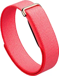 Google Fitbit Air Google Fitbit Air