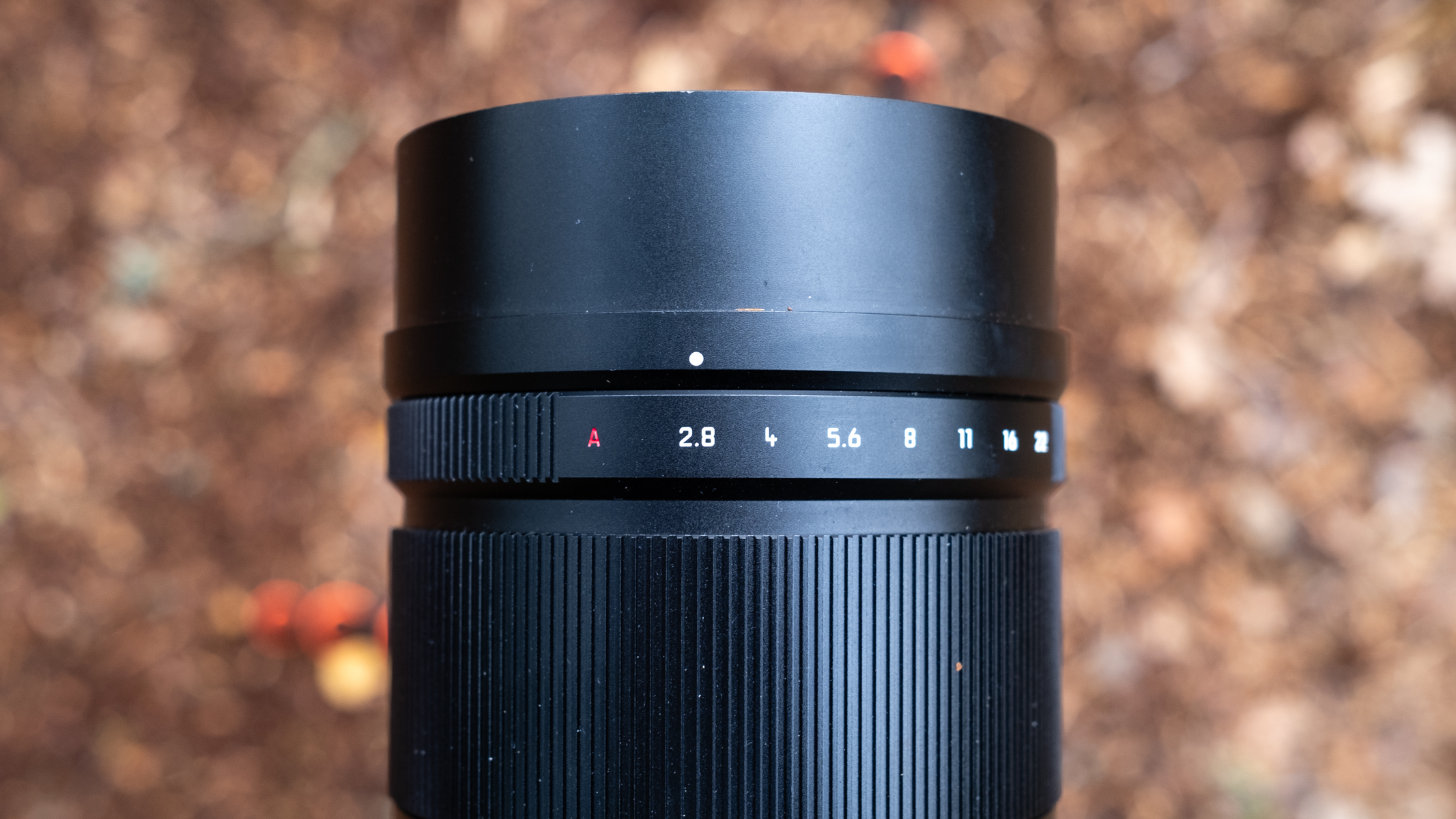 Panasonic Leica DG Elmarit 200mm f/2.8 POWER O.I.S telephoto lens.