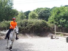 Fantom-doing-some-jumping-for-variety-e1532947280617.jpg