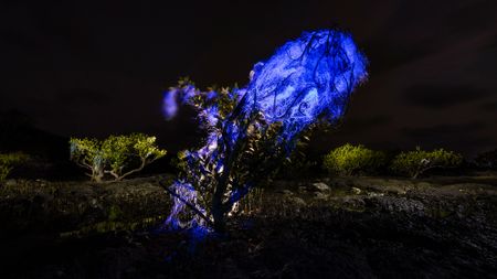 A small tree illuminated at night with blue light, surrounded by dark terrain and other faintly lit vegetation