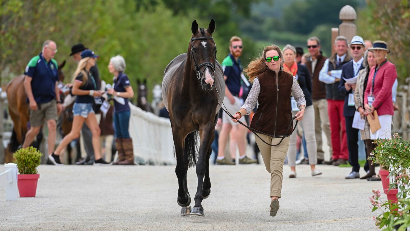 Susannah BERRY riding CLEVER TRICK for IRL during the 1st Horse Inspection at the FEI Eventing European Championship in Haras du Pin in Normandy in France between the 9th-13th August 2023
