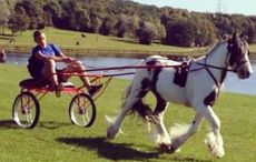 horse-and-cart.jpg