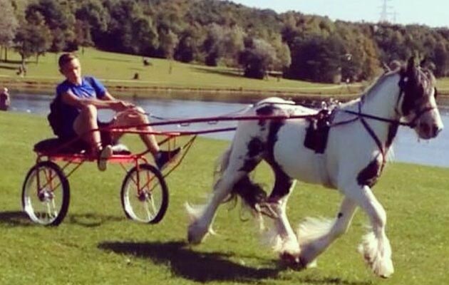 horse-and-cart.jpg
