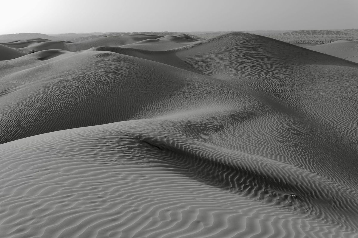 GuruShots - Monochrome Moments Jan 26