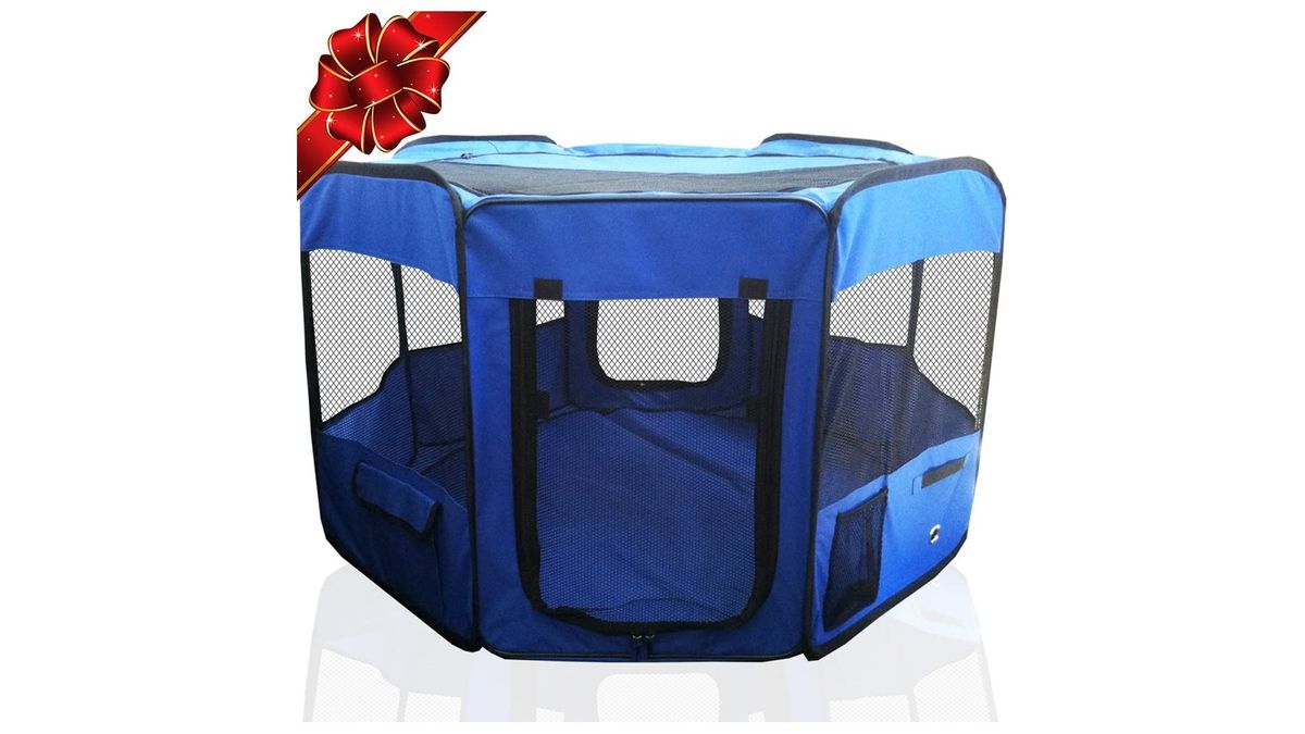 Best outdoor cat enclosures 2024 Let your feline explore nature safely