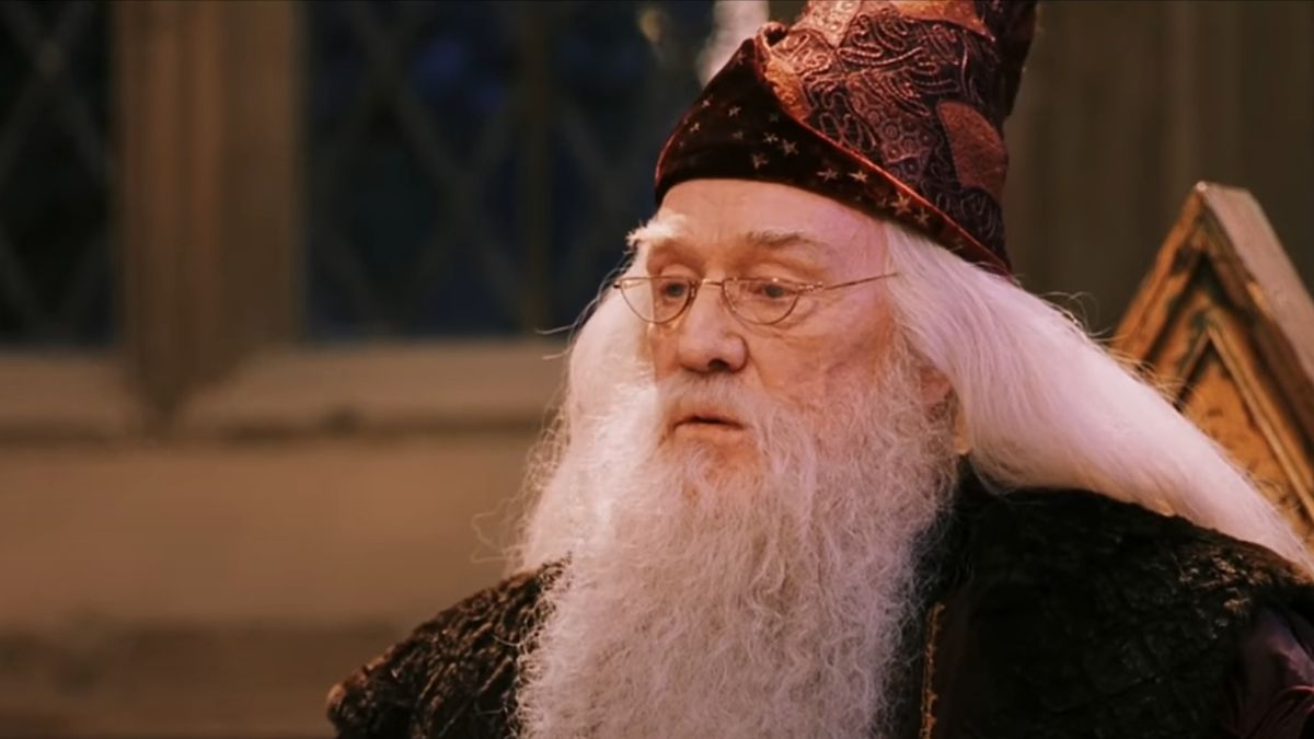 Son Of Harry Potter’s OG Dumbledore Has Blunt Thoughts About The HBO Series