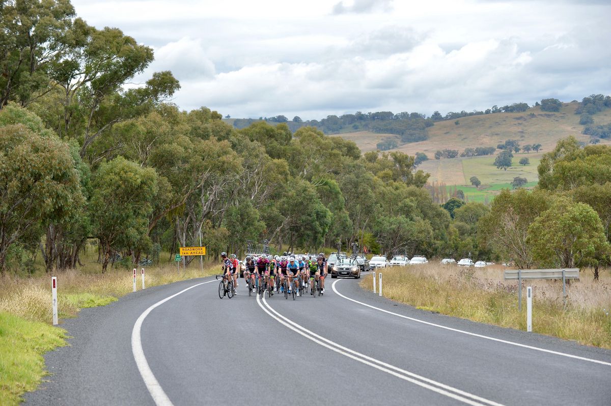 The peloton during the early stages of the race
