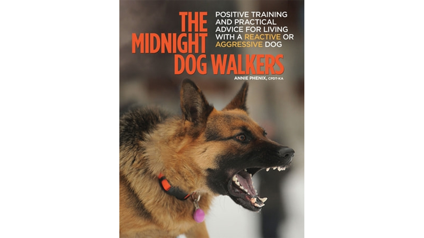 The Midnight Dog Walkers by Annie Phenix