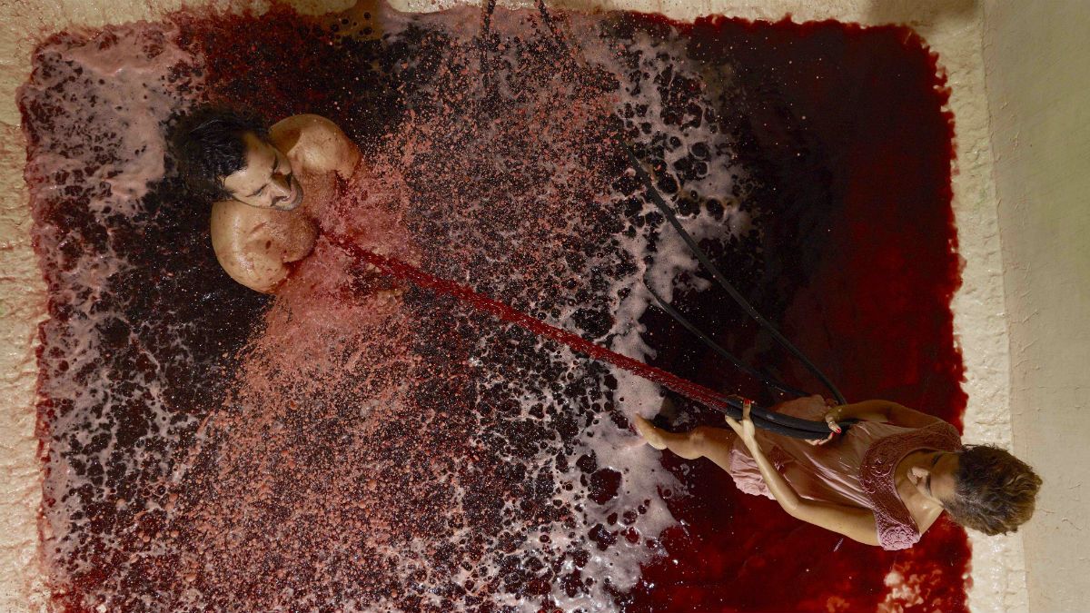 'Skin Contact' by Matt Wilson was the winner of the Wine Photographer of the Year award