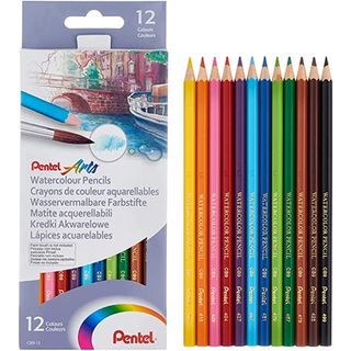 The best watercolour pencils are represented by a box of 12 pencils