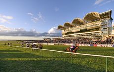 2,000 guineas bets