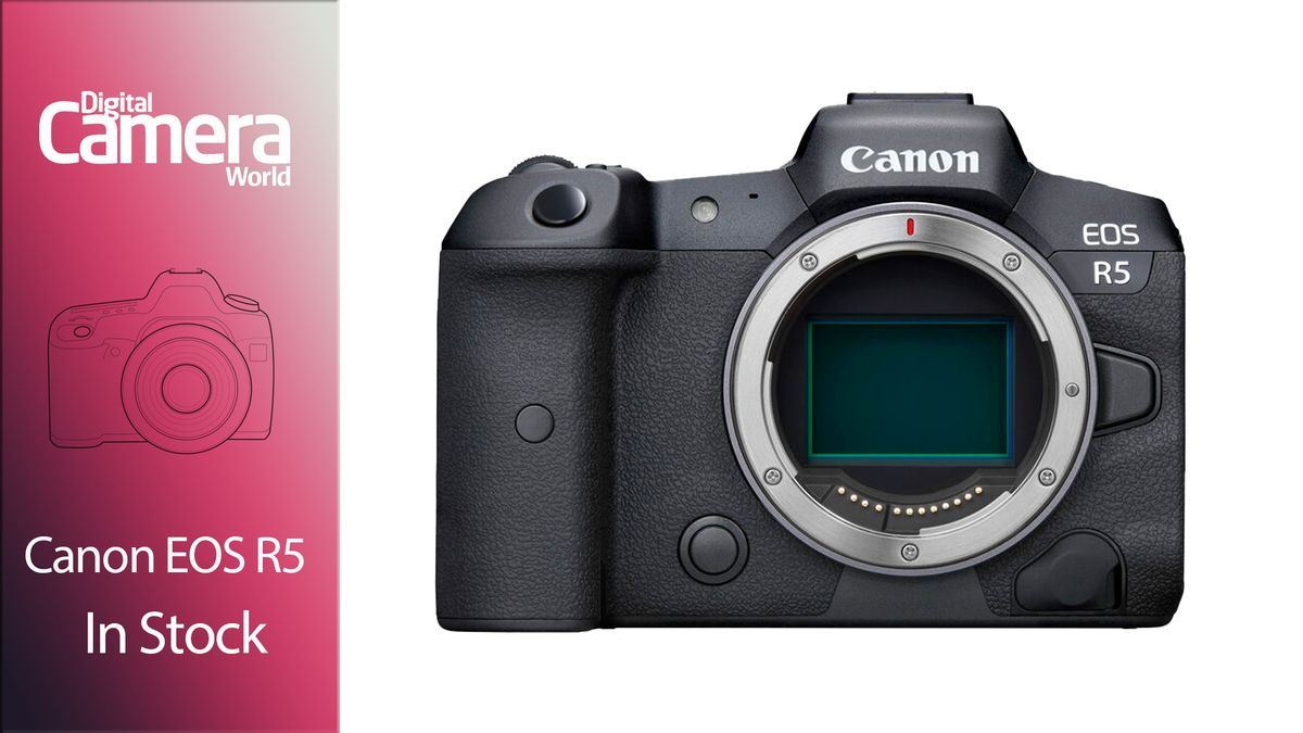 Elusive Canon EOS R5 now in inventory at B&H, however hurry because it will not final!