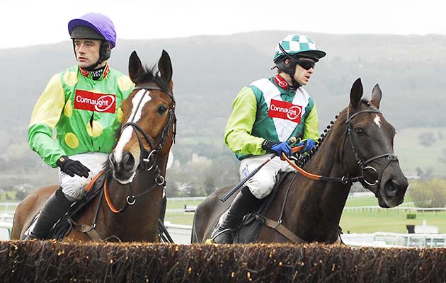 CHELTENHAM, ENGLAND - MARCH 11: Kauto Star and Ruby Walsh (left) with Denman and Sam Thomas looking at the first fence before the start of The totesport Cheltenham Gold Cup Chase at Cheltenham Racecourse on March 14, 2008 in Cheltenham, England. (Photo by Alan Crowhurst/Getty Images)