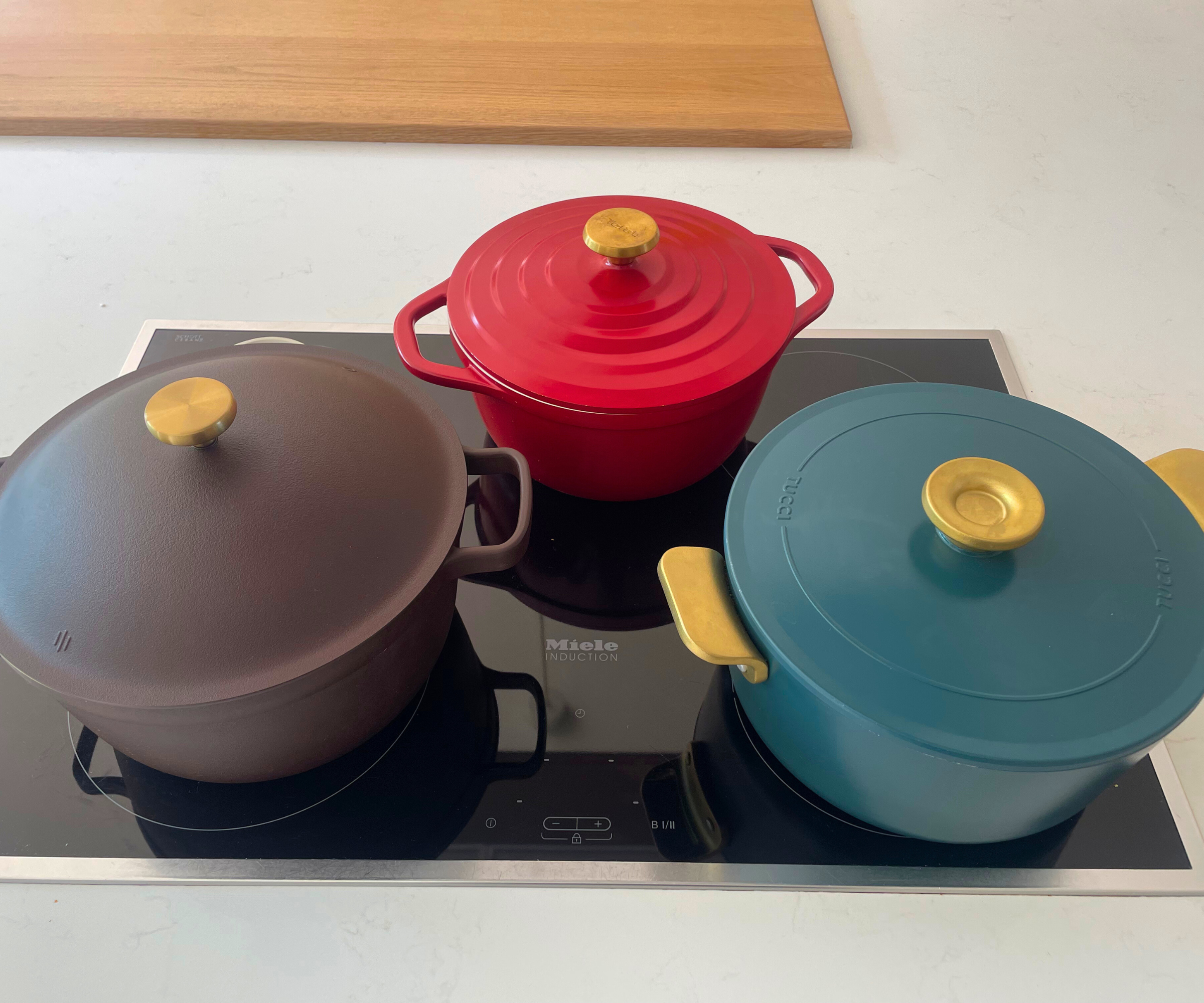 Testing ceramic Dutch ovens on the induction stove to see if they are up to scratch