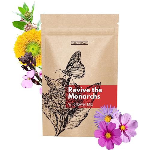 Amazon.com : 12,000+ Seeds - Protect Monarch Butterflies Wildflower Mix - 27 Wild Flower Varieties - Pollinator - Perennial & Annual Flowers Milkweed, Wallflower, Zinnia - Planting Outdoors Spring, Fall : Patio, Lawn & Garden